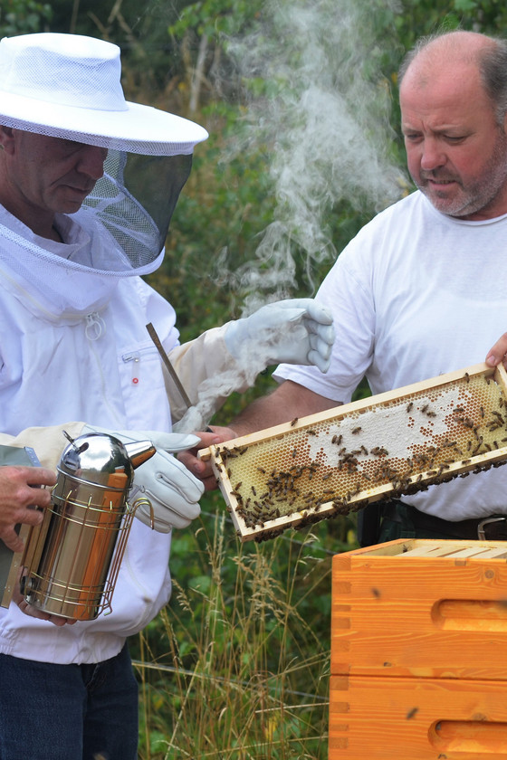 Drei Männern am Bienenstock mit Waben in der Hand, Bewohnerprojekte, Immanuel Therapiezentrum Röthof in Schmalkalden Drei Männern am Bienenstock mit Waben in der Hand, Bewohnerprojekte, Immanuel Therapiezentrum Röthof in Schmalkalden