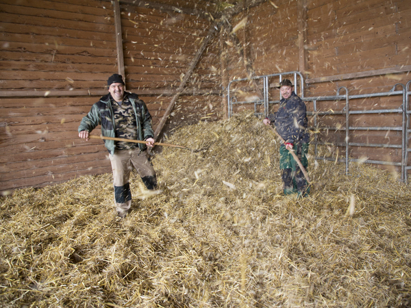Bewohner arbeiten auf Heuboden - Immanuel Therapiezentrum Röthof in Schmalkalden Bewohner arbeiten auf Heuboden - Immanuel Therapiezentrum Röthof in Schmalkalden